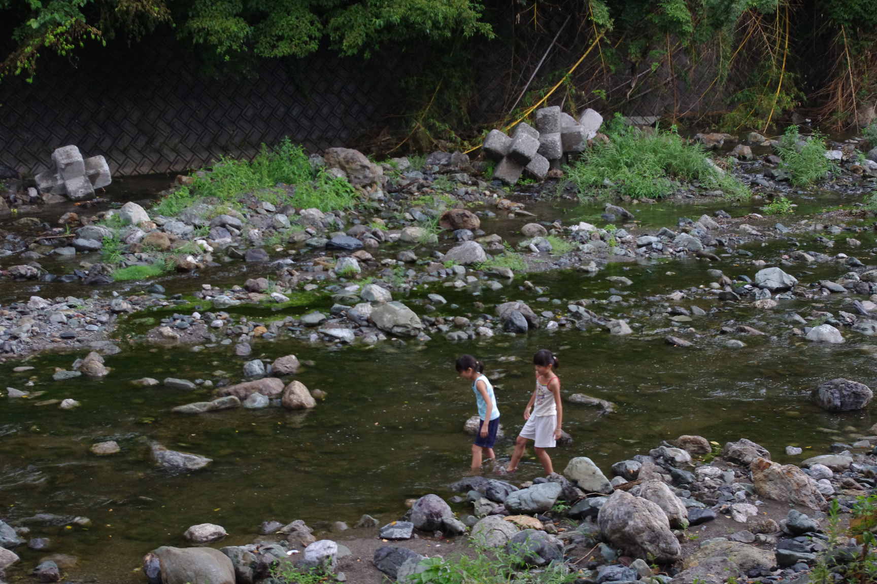 b0023745_0121418.jpg