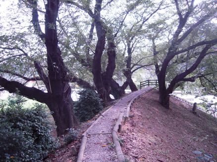f0202151_21393659.jpg