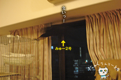 e0031853_2058029.jpg