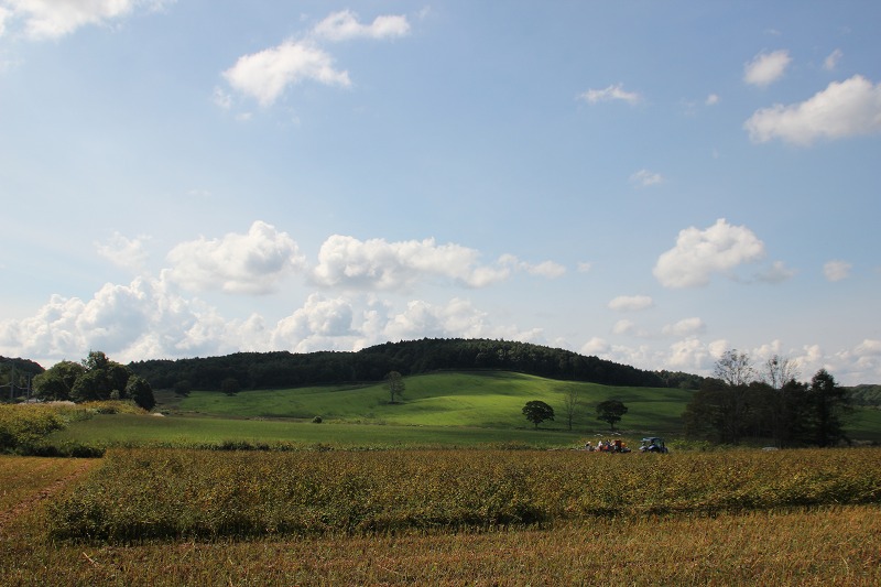 b0250154_2140260.jpg