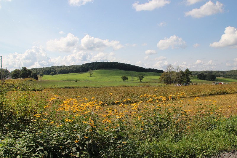 b0250154_21442322.jpg