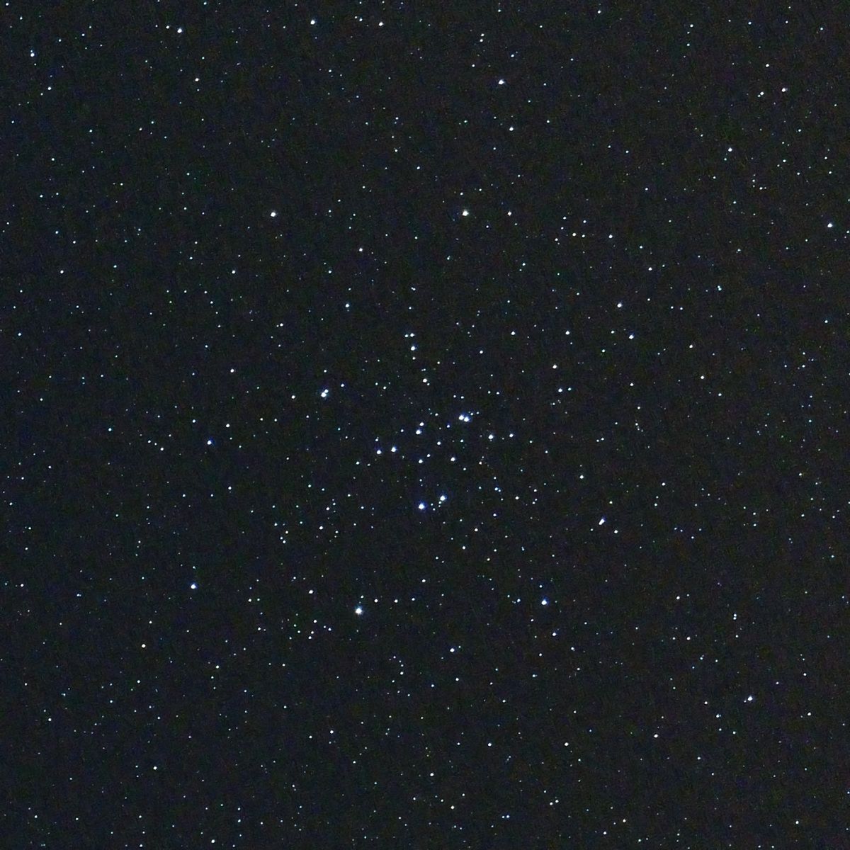 e0122855_2272687.jpg