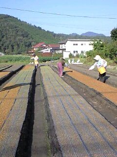 f0071456_15162686.jpg