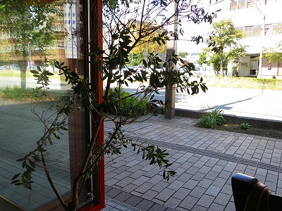 e0001860_20504366.jpg