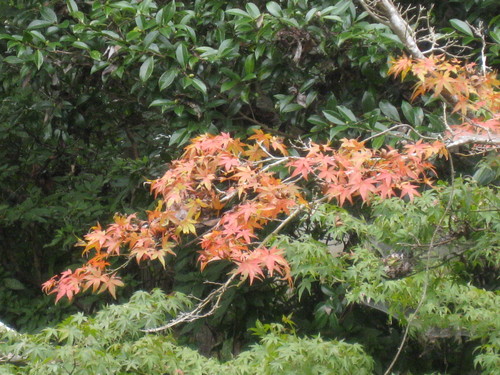b0267163_15292639.jpg