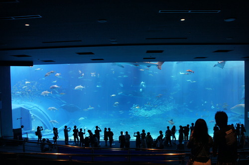 d0116269_21125473.jpg
