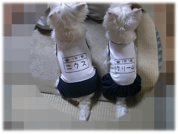 b0242873_846970.png