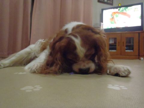 f0047773_21374229.jpg