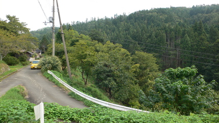 b0042882_16575484.jpg