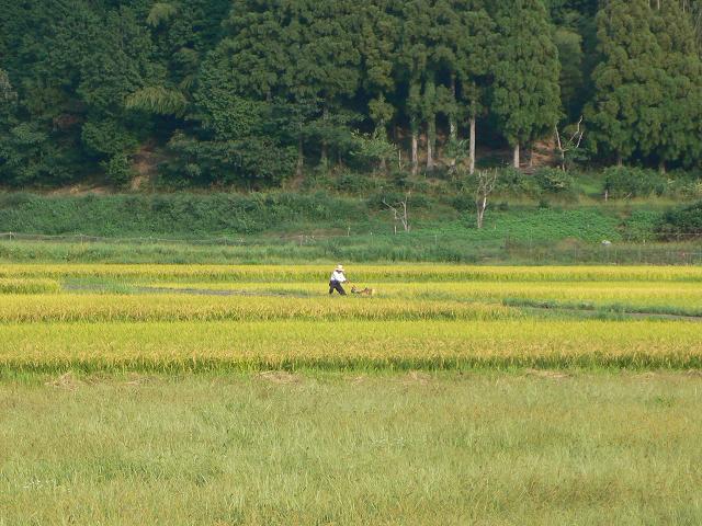b0042882_1795039.jpg