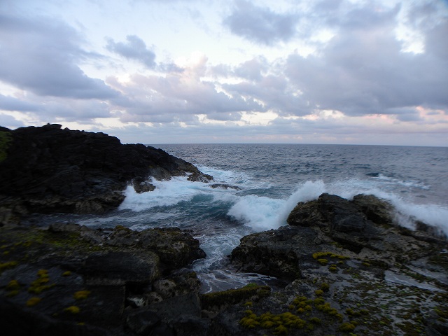 d0258487_326519.jpg