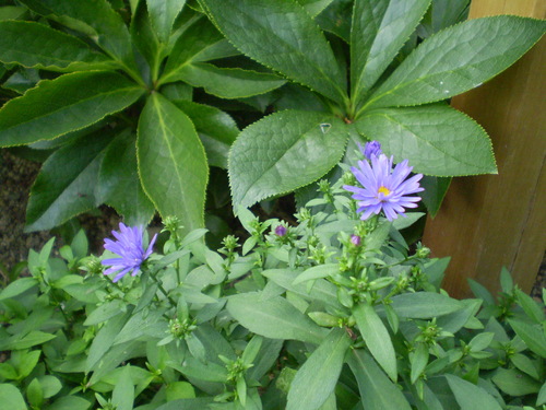 a0135990_22161470.jpg