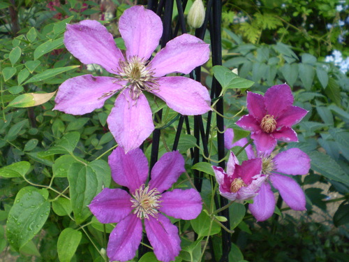 a0135990_22182264.jpg