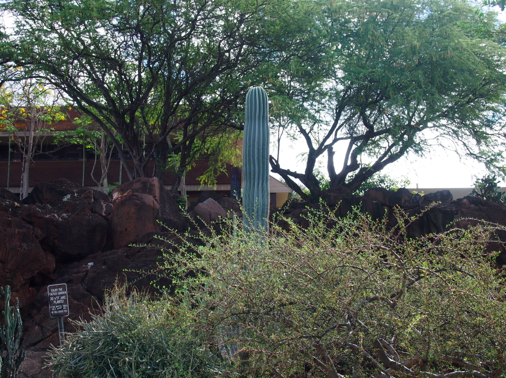 a0146493_13423165.png
