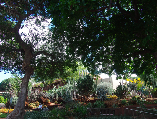 a0146493_1342778.png