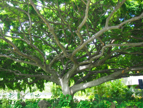 a0146493_16231061.png