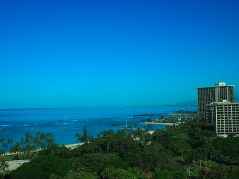 a0146493_1725759.png