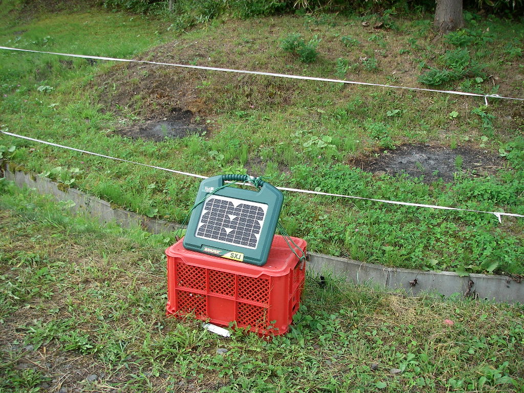 d0046294_1604278.jpg