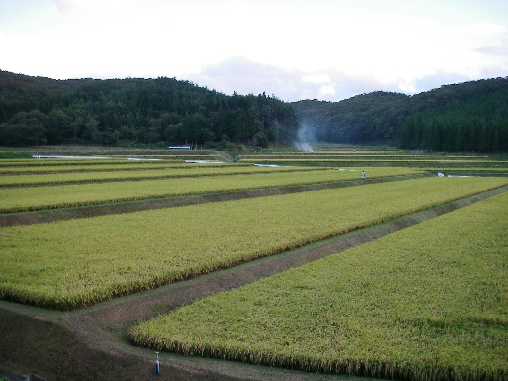 d0046294_1634237.jpg