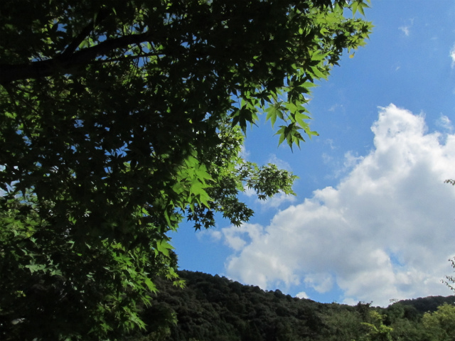 f0174198_12372745.jpg