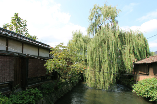 e0054299_13271313.jpg