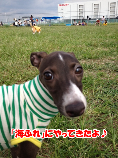 e0290901_21502976.png