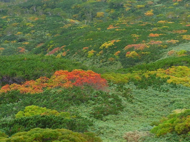 f0157901_20472686.jpg