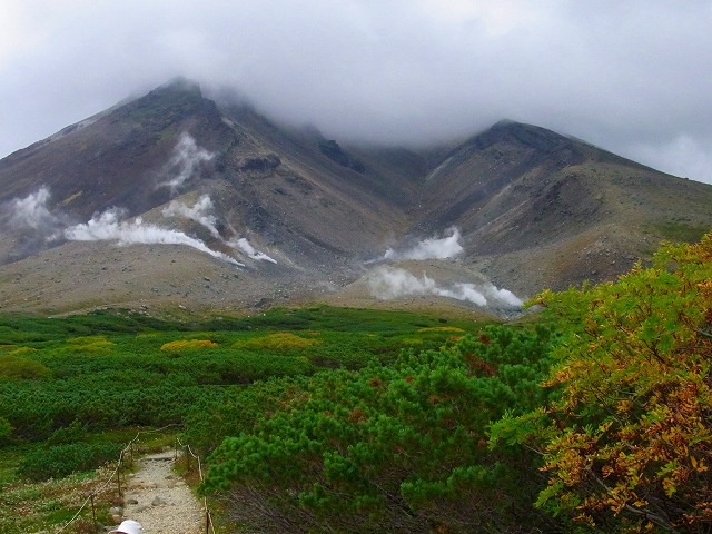 f0157901_20474196.jpg