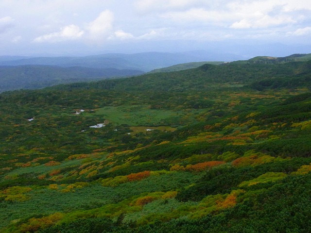 f0157901_2047621.jpg