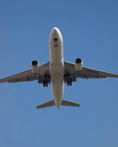 d0016003_20111097.jpg