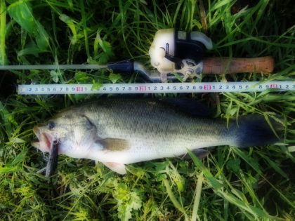 c0023804_1151287.jpg