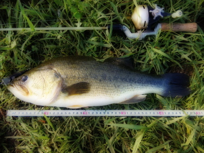 c0023804_11524414.jpg