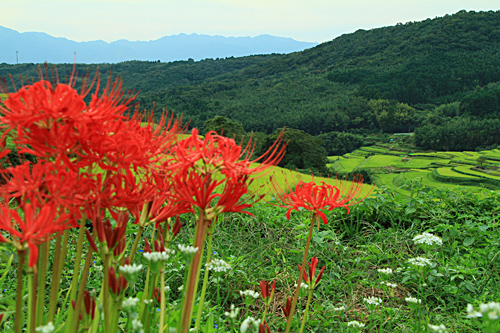 b0014607_17265579.jpg
