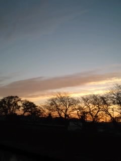 b0085408_233472.jpg
