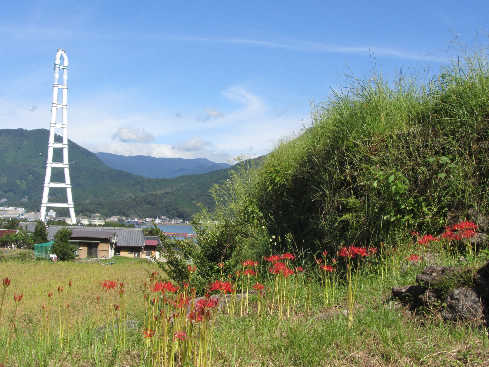 d0154609_1982794.jpg