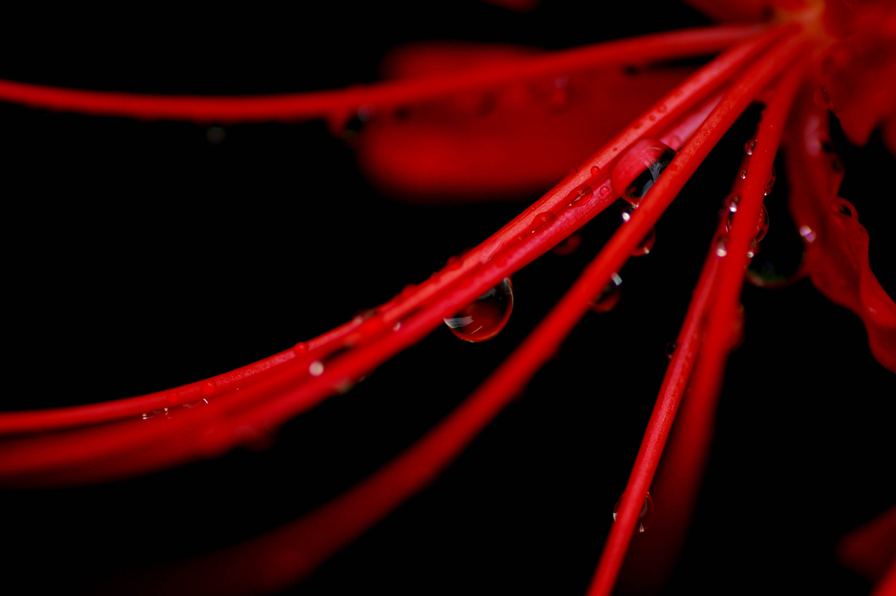 c0146510_1740440.jpg