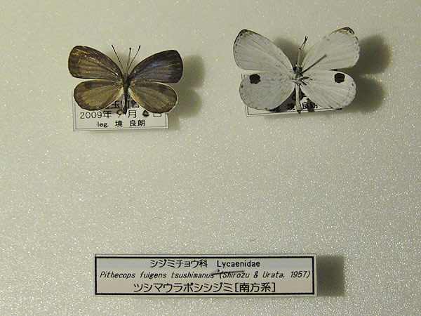 b0033112_22114825.jpg