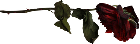 b0179814_14422876.jpg