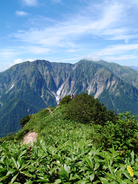 c0177814_17482239.jpg