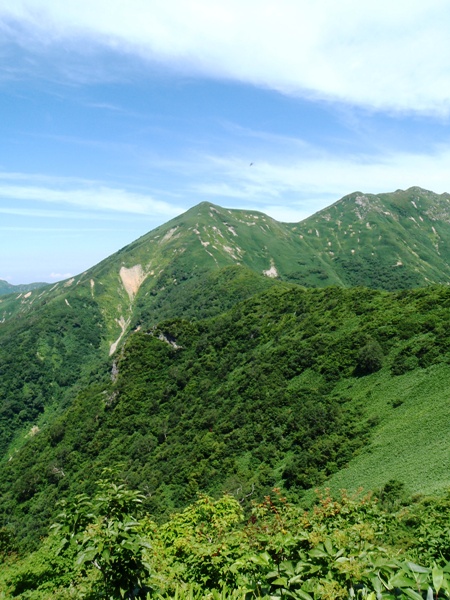c0177814_18362130.jpg