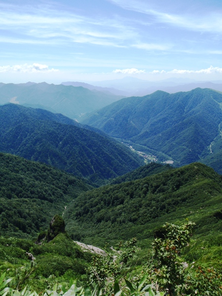c0177814_1836370.jpg