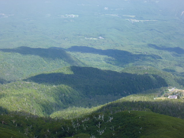 d0170615_1329388.jpg