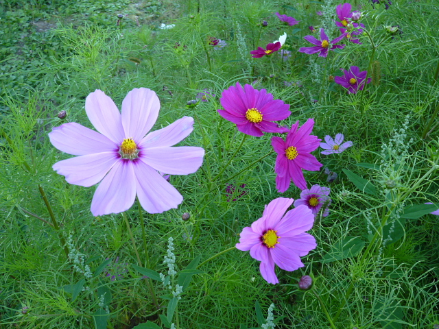 d0170615_13293966.jpg