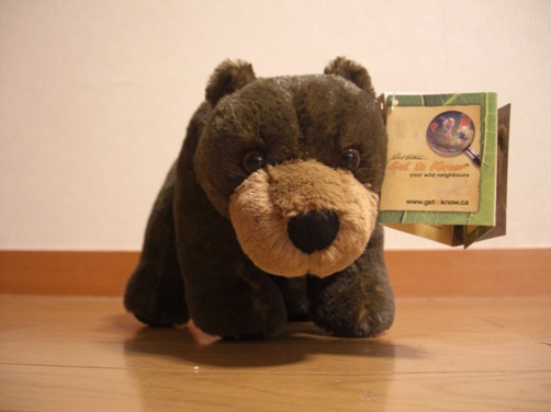 d0098316_164257.jpg