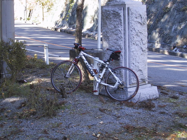 c0208218_226679.jpg