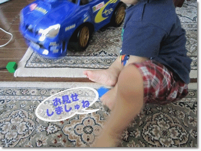 b0167519_23355670.gif