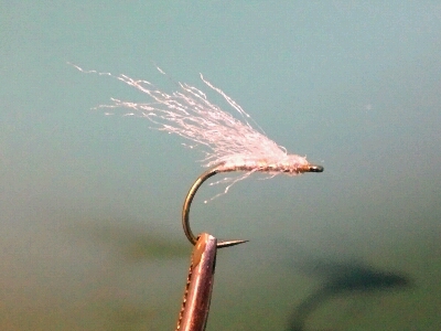 b0259124_15164178.jpg