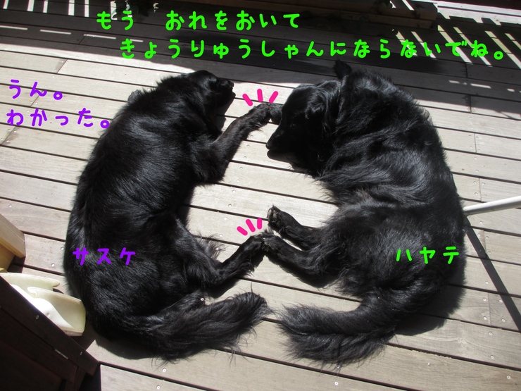 c0237824_10544740.jpg