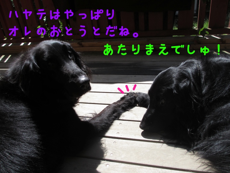 c0237824_10552020.jpg