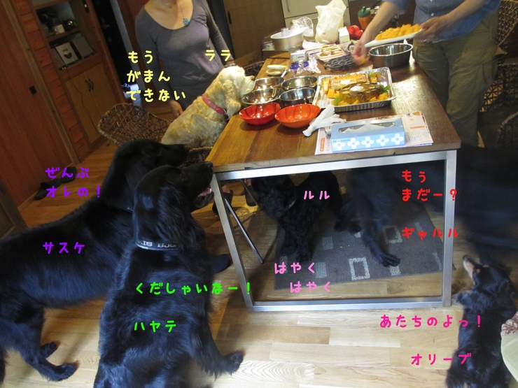 c0237824_10561479.jpg